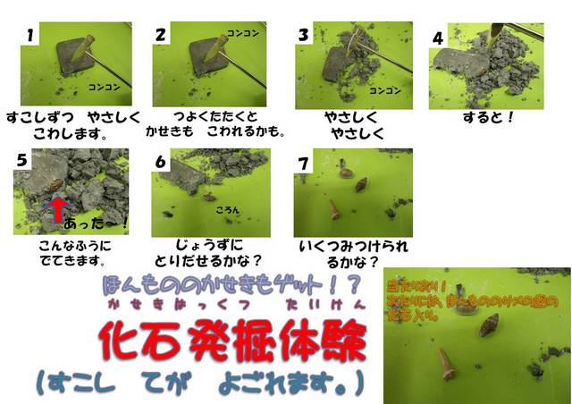 XCh2.JPG