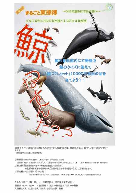 鯨館イベント Sheet1 のコピー 2.jpg