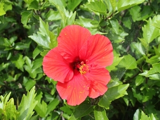 IMG_3639_R.JPG